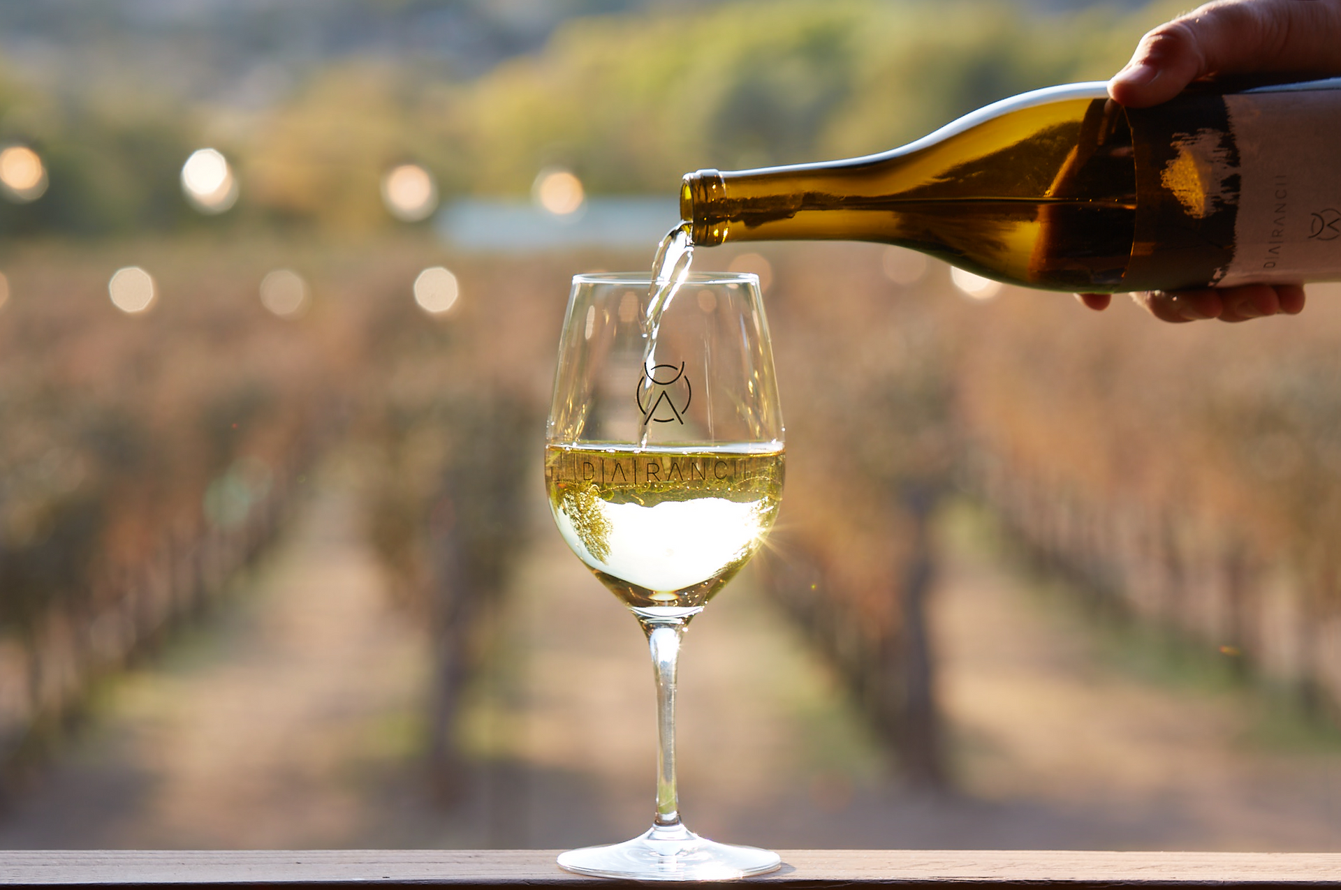 Pouring white wine into a glass, vineyard in background.