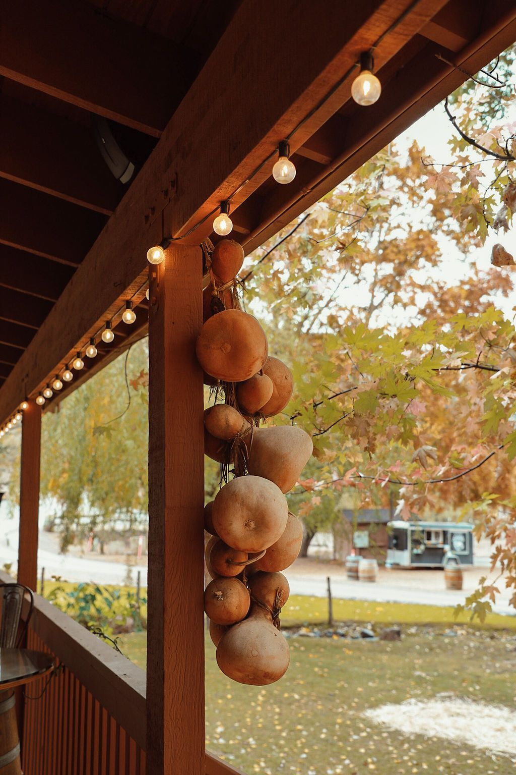 Brown porch with pumpkins hanging, string lights, and autumn foliage.