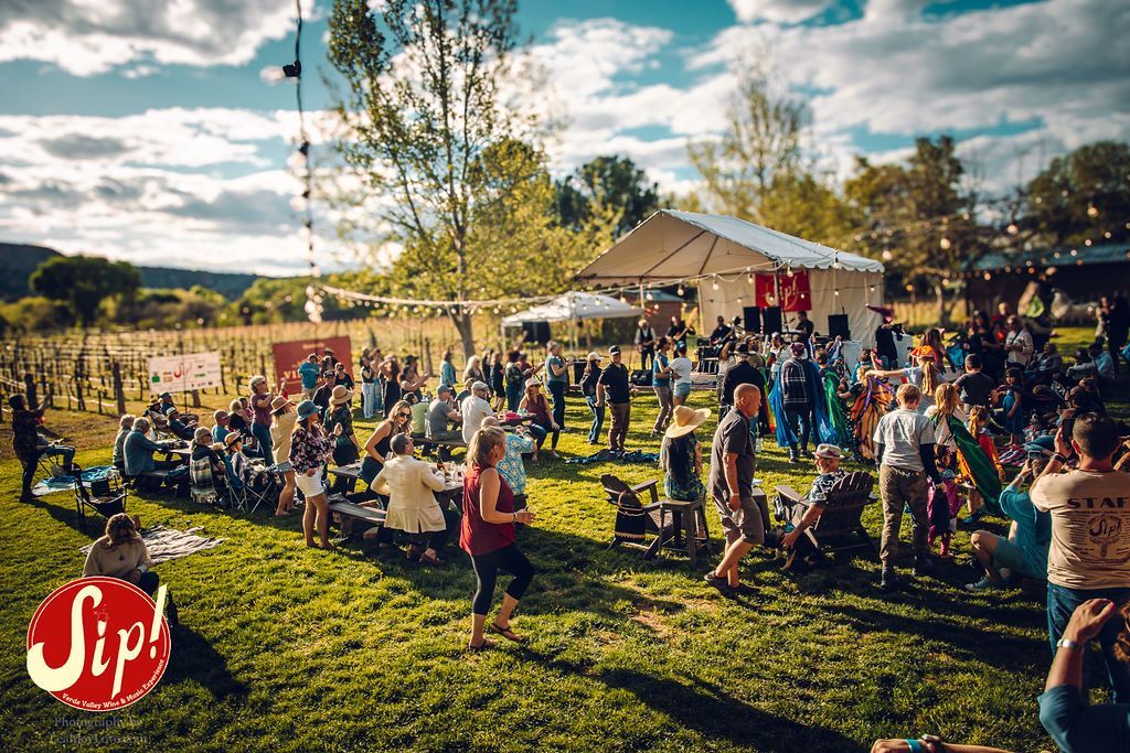 Large outdoor gathering; people socializing, dancing near a tent, and vineyards under a sunny sky.
