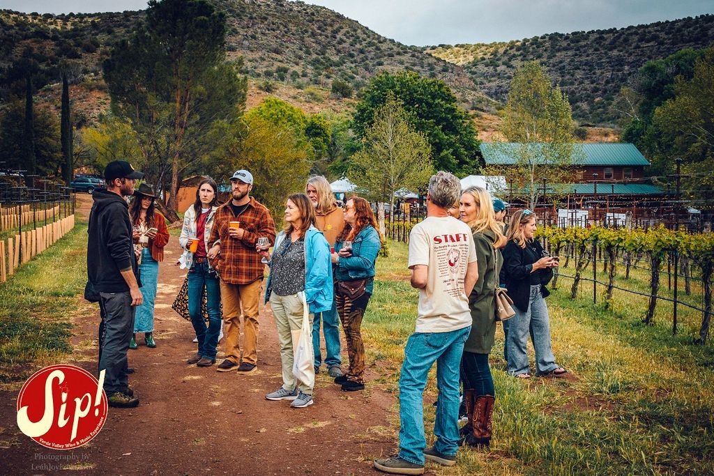 Group touring vineyard, listening to a guide. Sunny day; green foliage, brown dirt path, mountain backdrop.