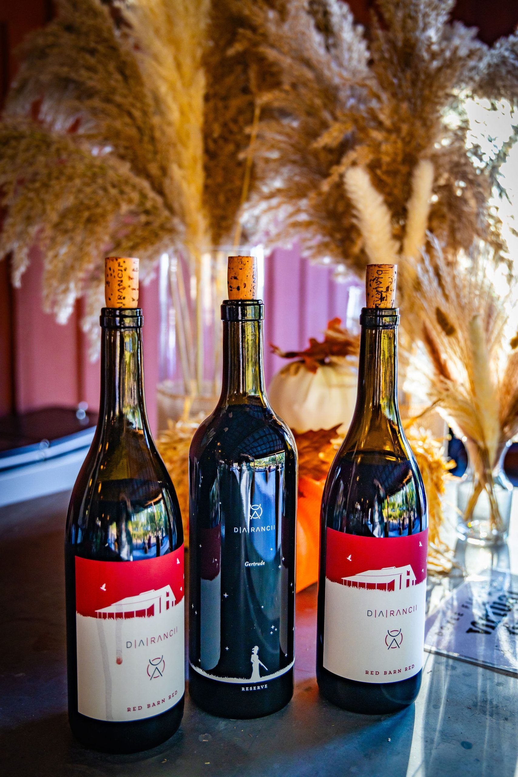 Three wine bottles with red labels and cork stoppers on a table with fall decor.