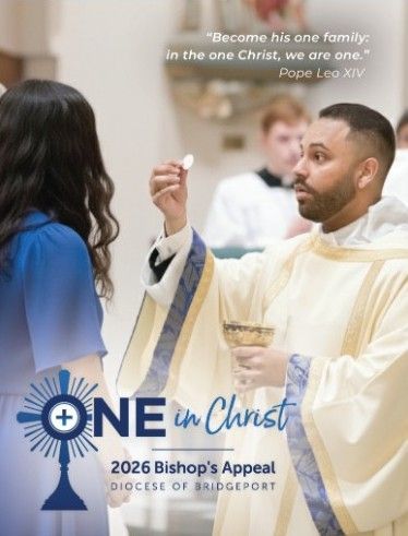 Click to View Brochure