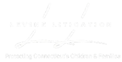 Levine Litigation logo: white cursive "L" with text "Levine Litigation," and tagline: "Protecting Consumers & Families".