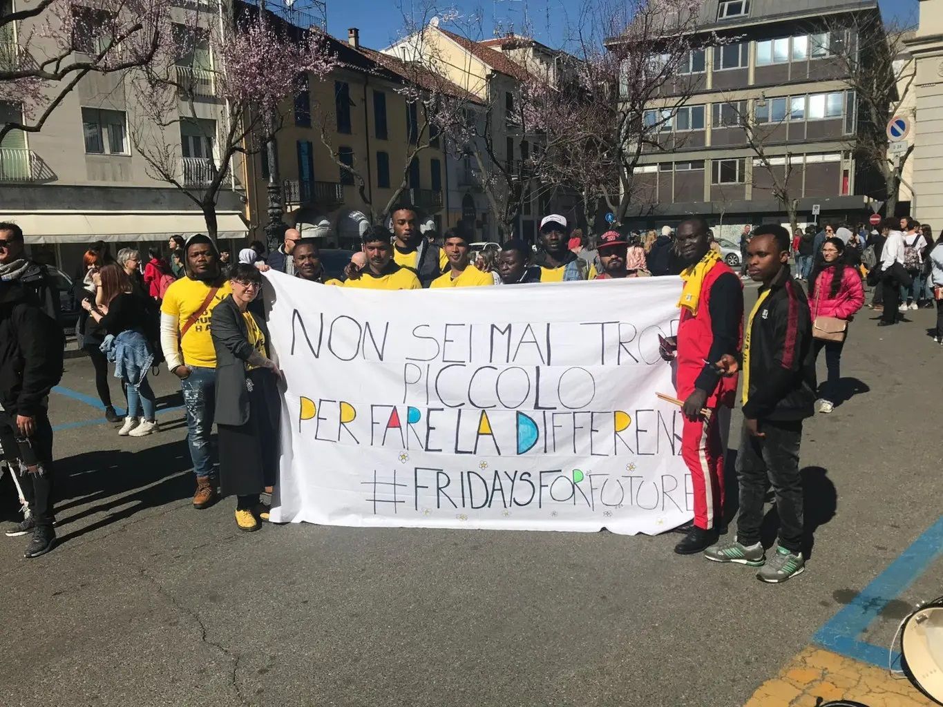 attività della cooperativa