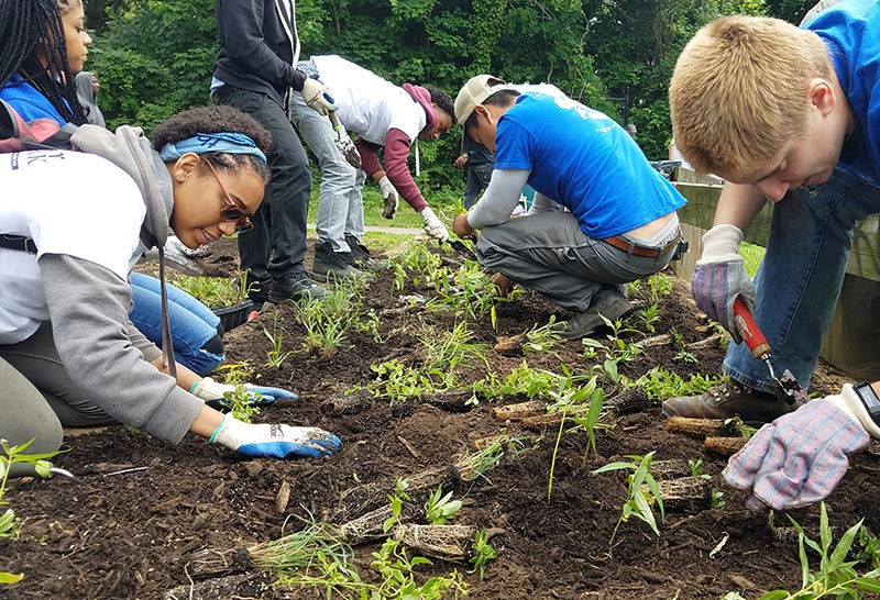 youth planting at heinz refuge
