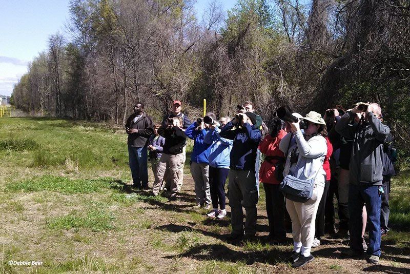 heinz refuge bird watching