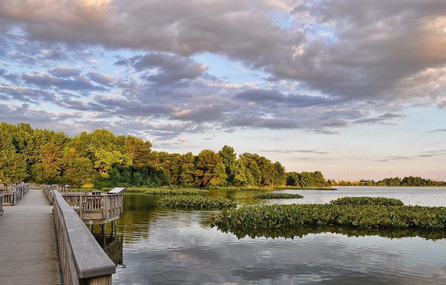 walkway at heinz refuge
