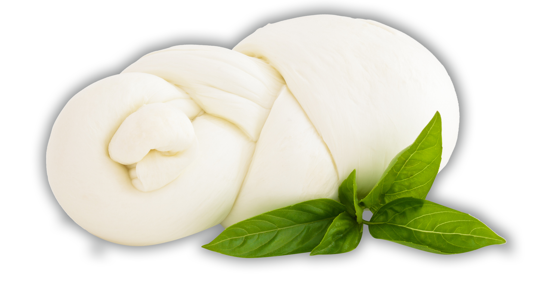 mozzarella