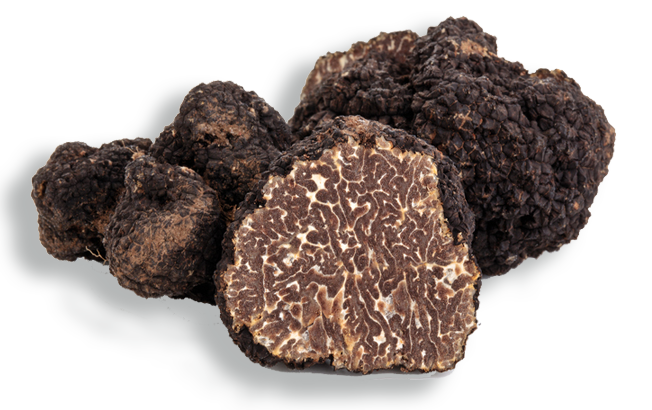 tartufo