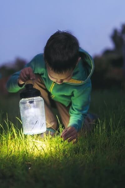 A child in a green hoodie crouches in grass at twilight, holding an illuminated jar to examine the ground.