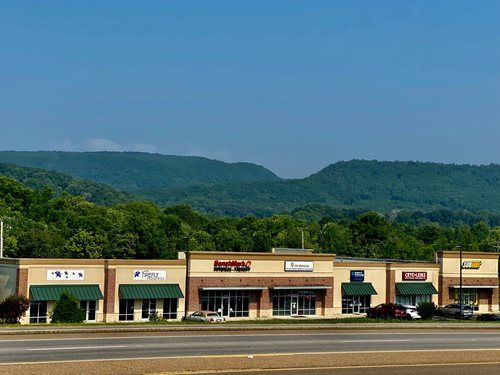 A single-story shopping center with storefronts sits before a backdrop of rolling, tree-covered mountains.