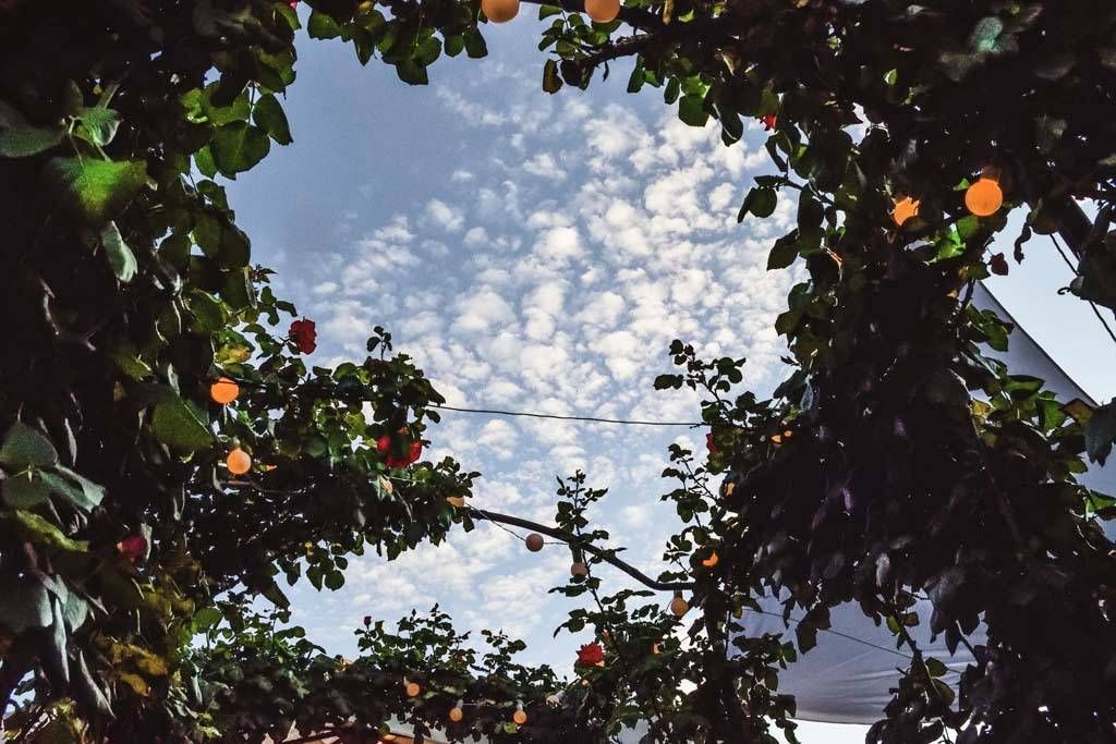 giardino