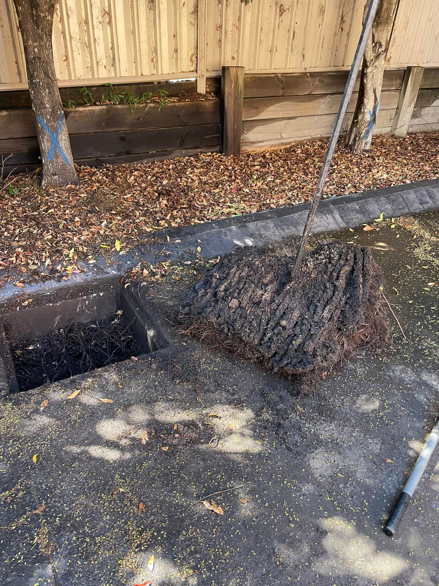 A Mass of Tree Roots Being Pulled from An Open Drain in A Paved Area — All Stars Plumbing In Barrack Heights, NSW