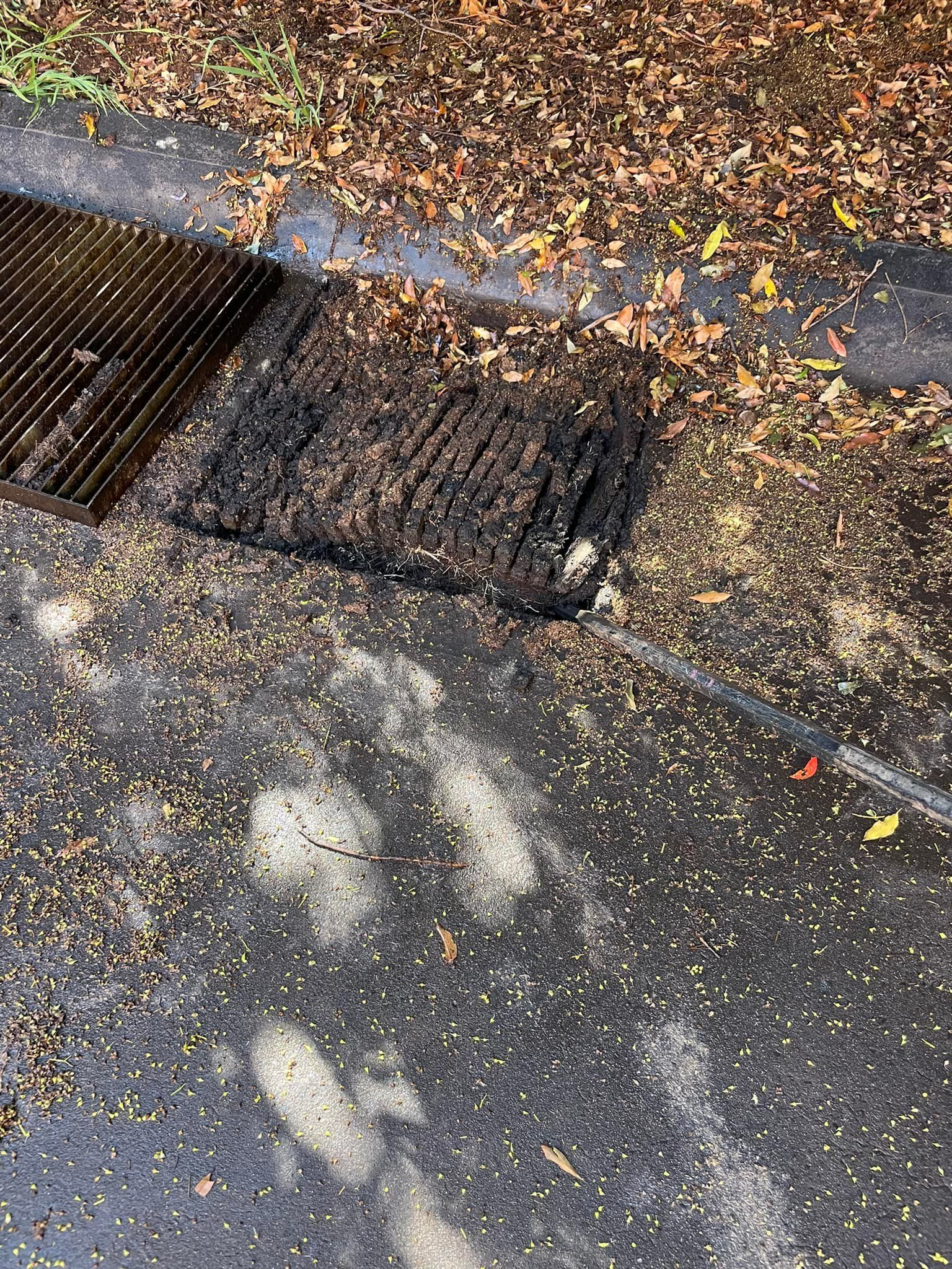 Grate with Brush Cleaning Debris, Wet Asphalt Covered in Leaves — All Stars Plumbing In Barrack Heights, NSW