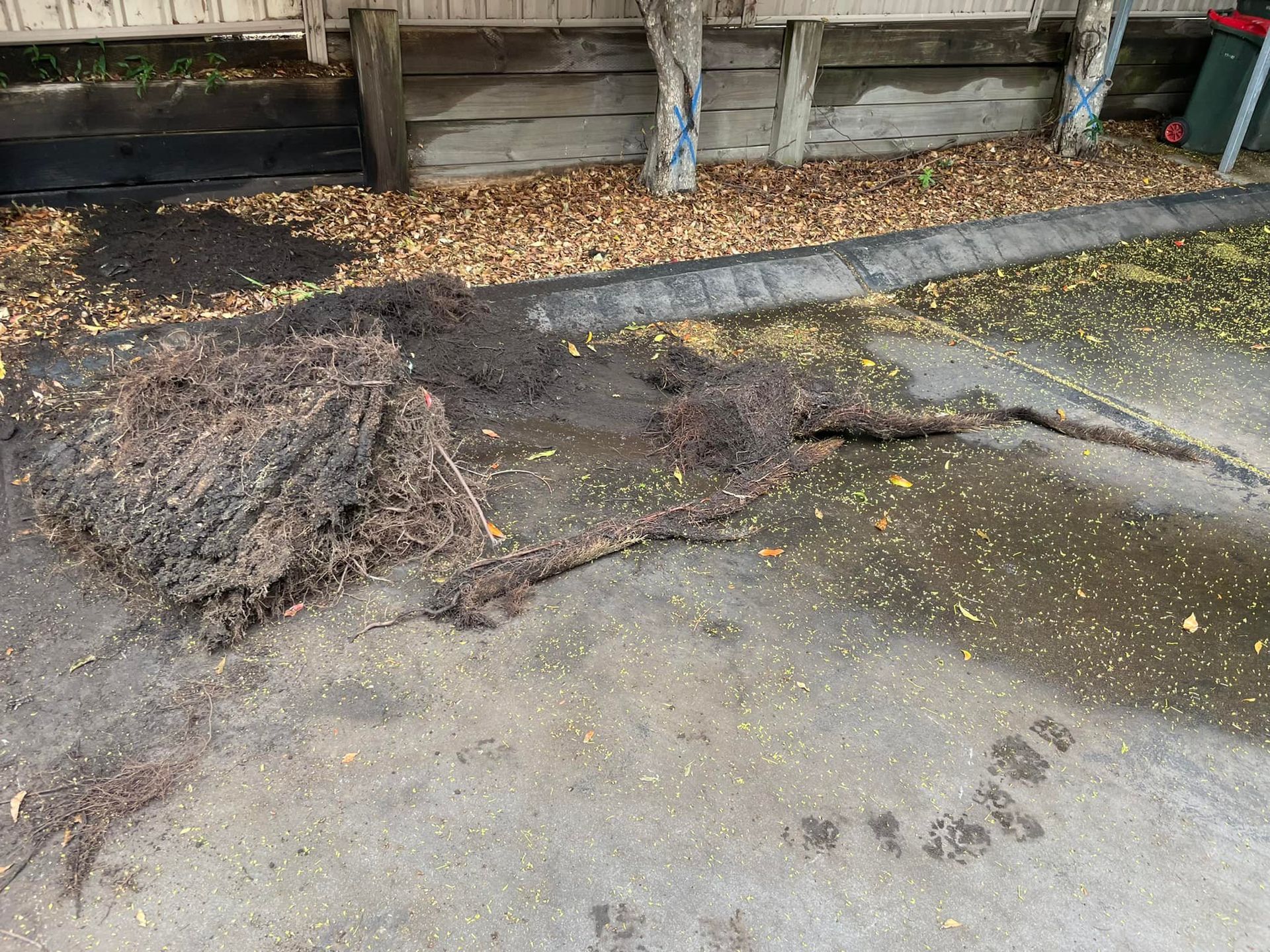 Pile of dark debris and water on a concrete surface next to a wooden barrier. — All Stars Plumbing In Dapto, NSW
