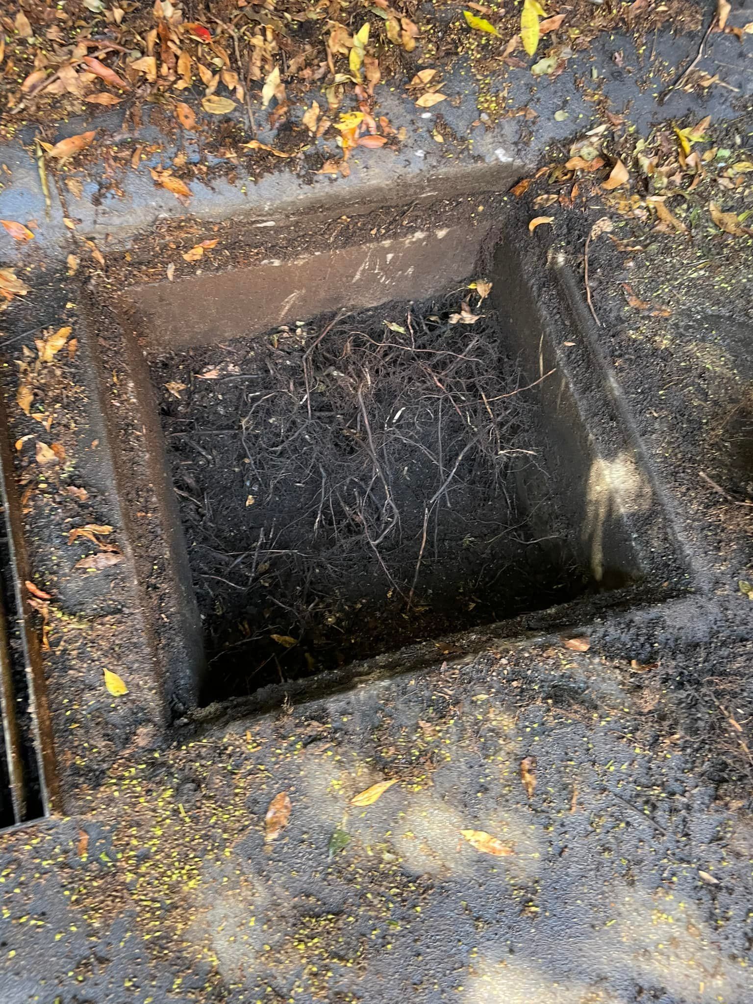 Square hole dug in dark soil, surrounded by a border of dirt; fallen leaves around the edges. — All Stars Plumbing In Barrack Heights, NSW