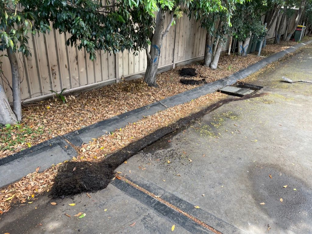 Curb with fallen leaves and trees bordering a wooden fence along a street. — All Stars Plumbing In Shellharbour, NSW