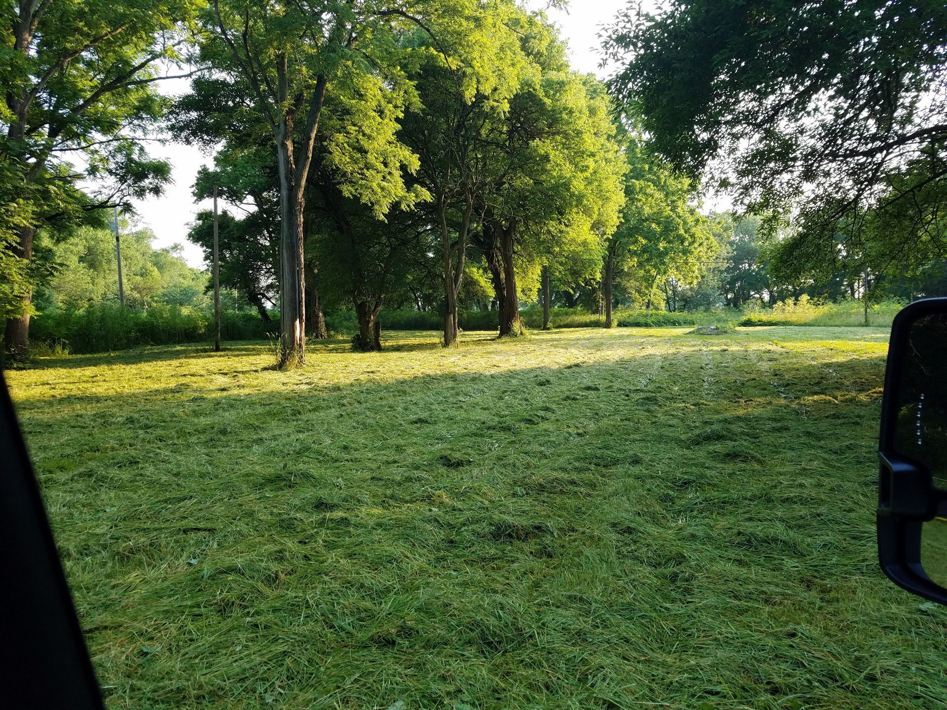 A person is looking out of a car window at a park with trees and grass.