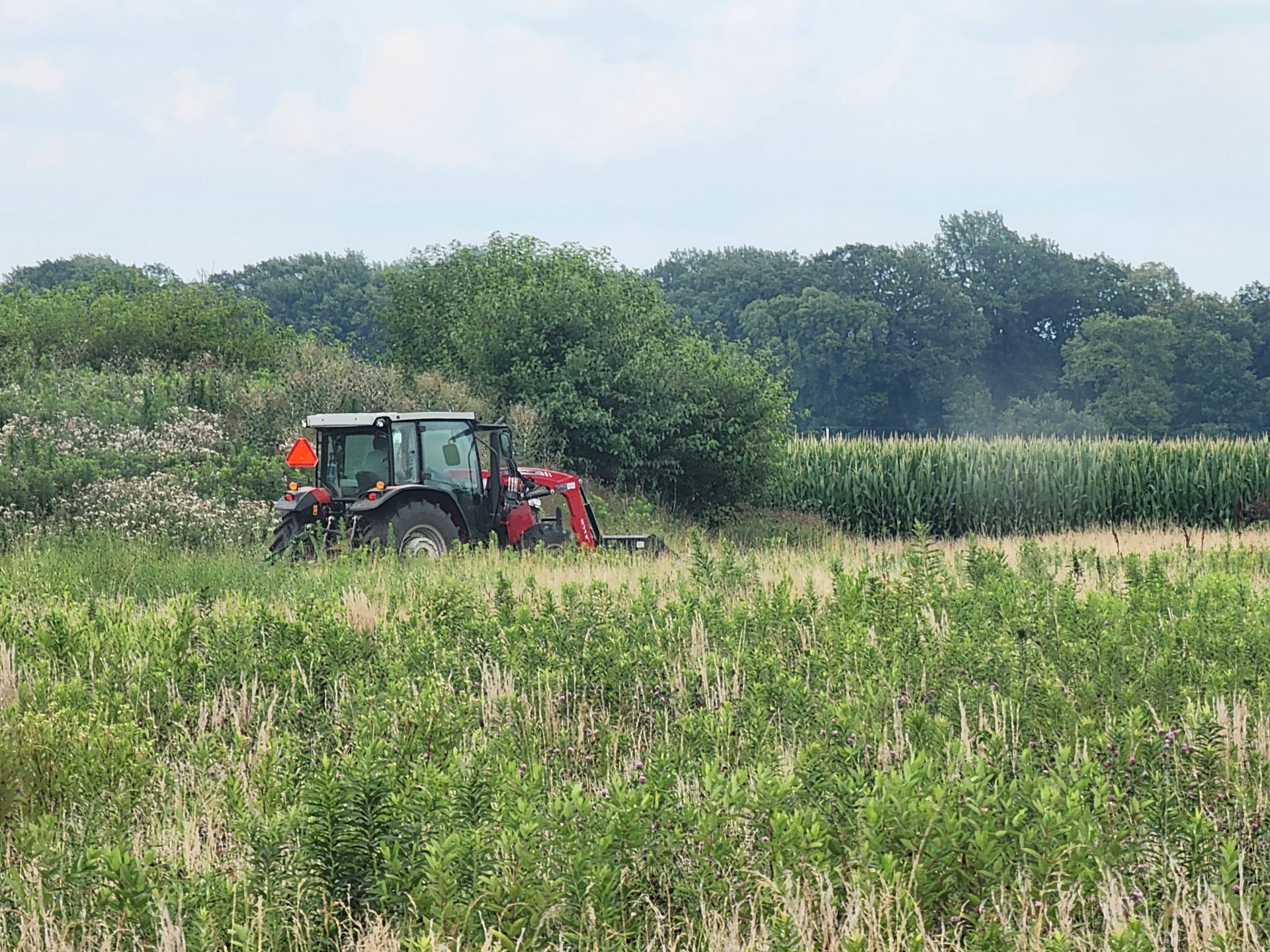 A tractor is driving through a field of tall grass.