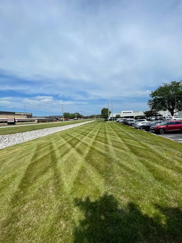 A lush green field of grass with a parking lot in the background.