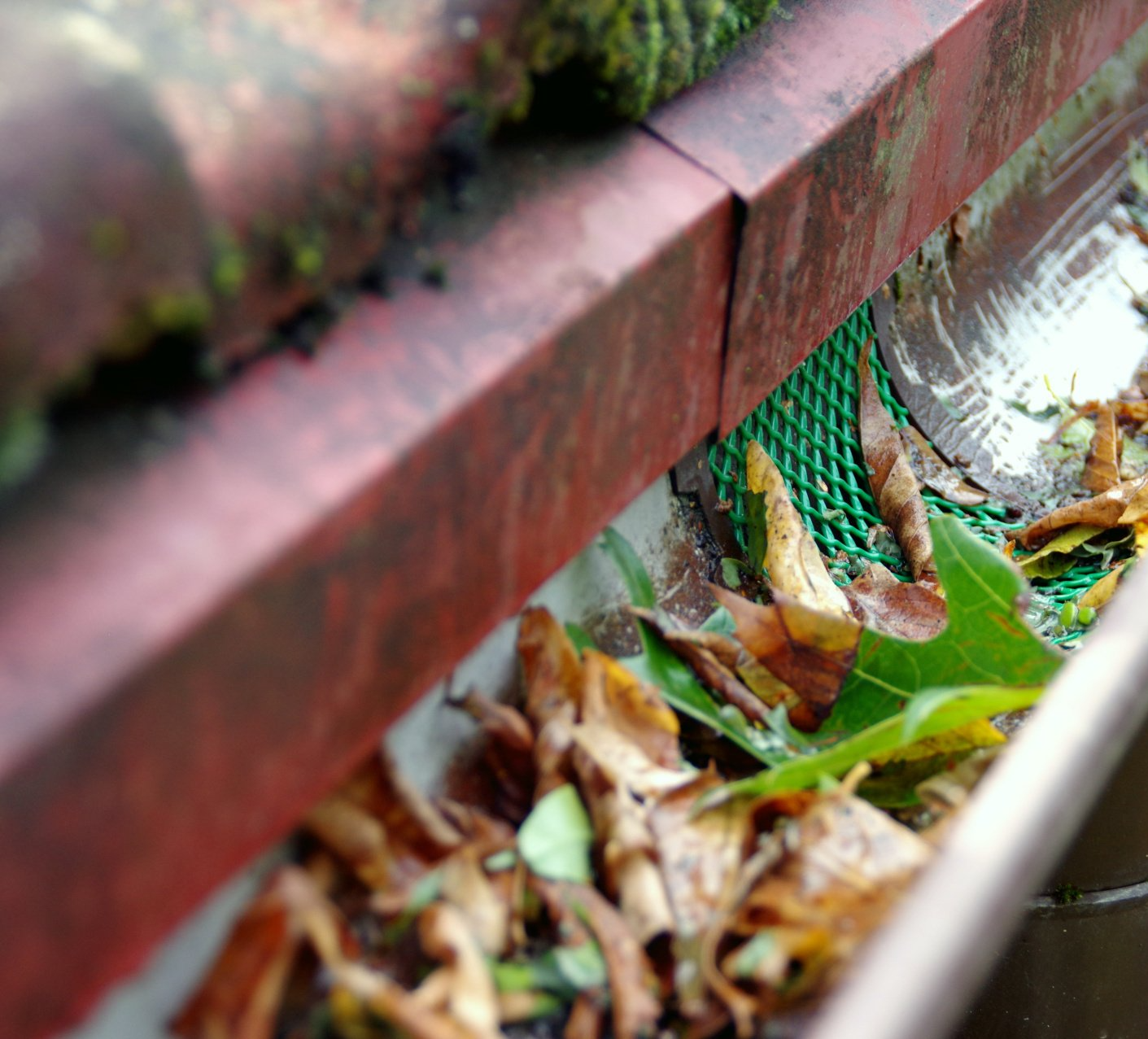 gutter on a house