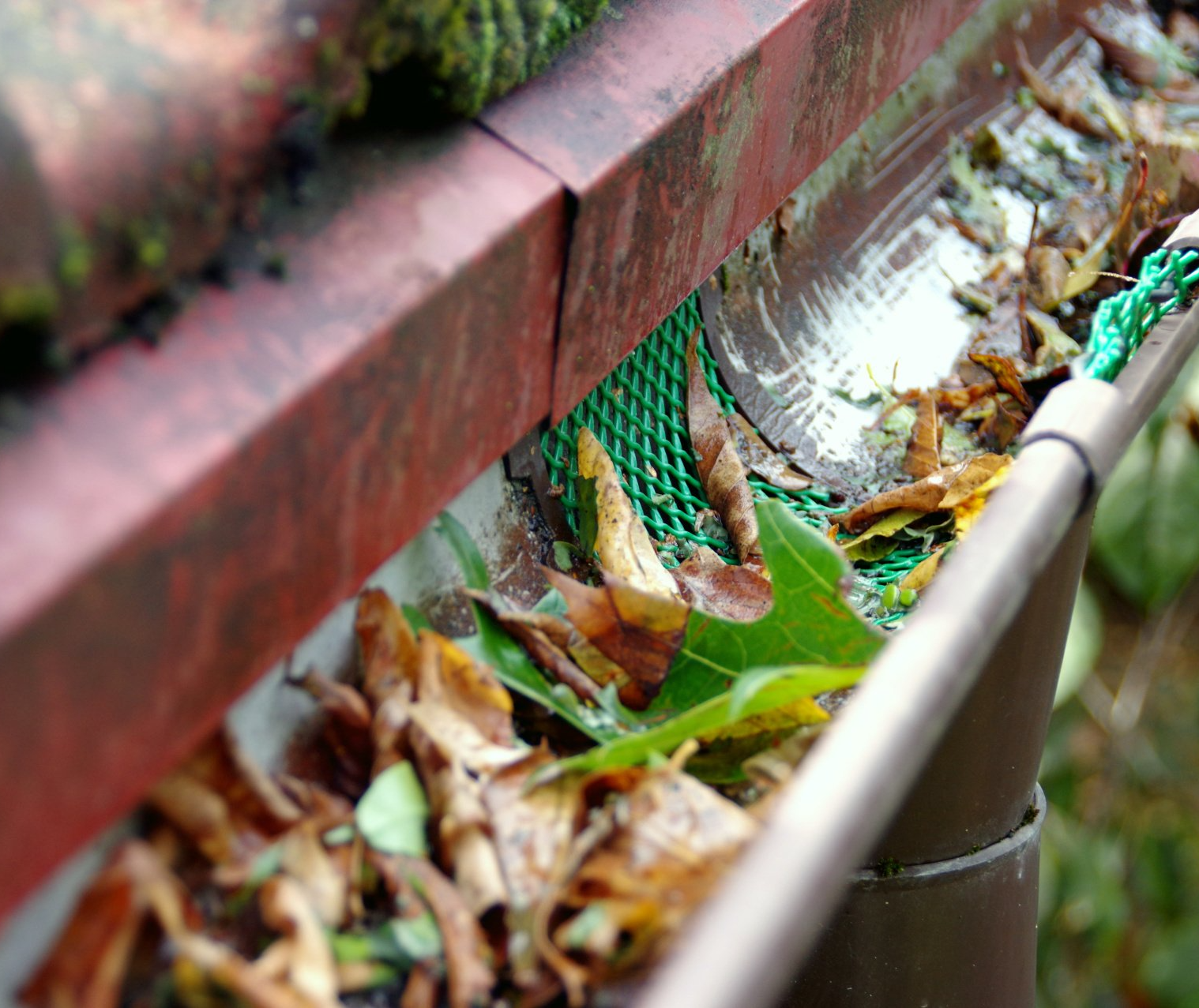 clogged gutter