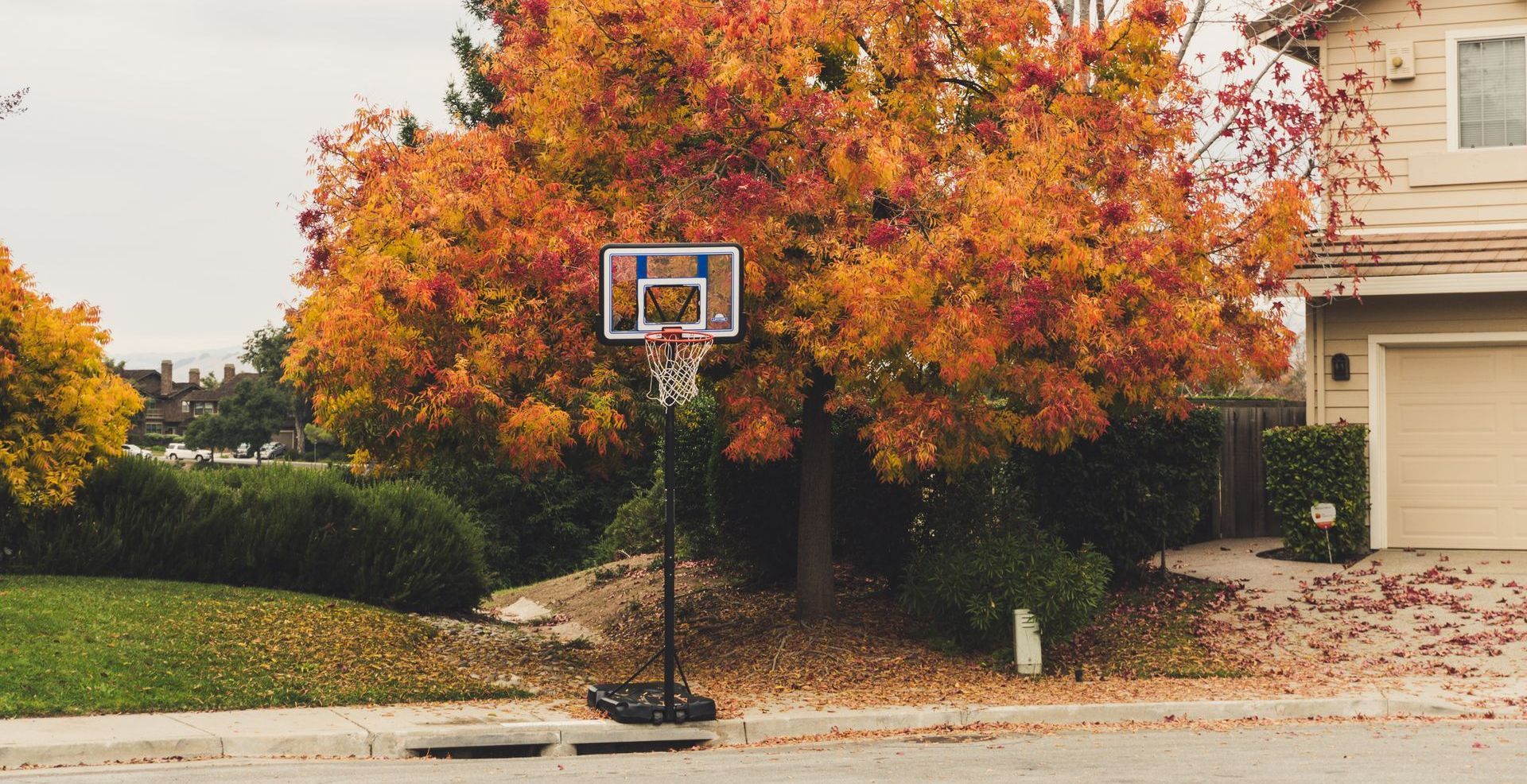 house and basketball hoop