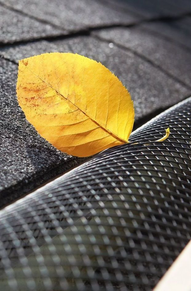 leaf in a gutter