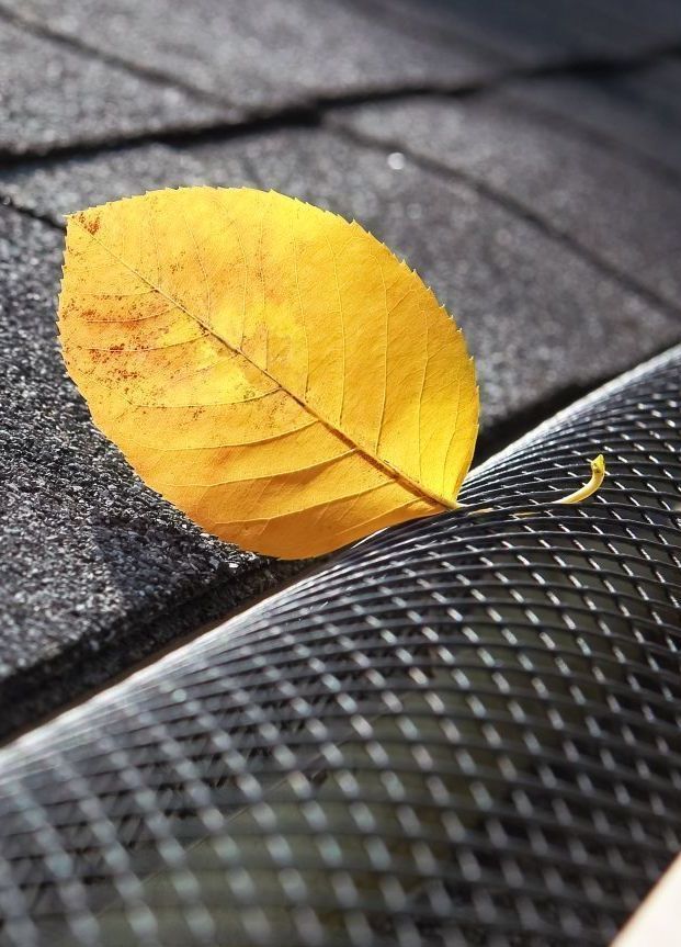 gutter guard