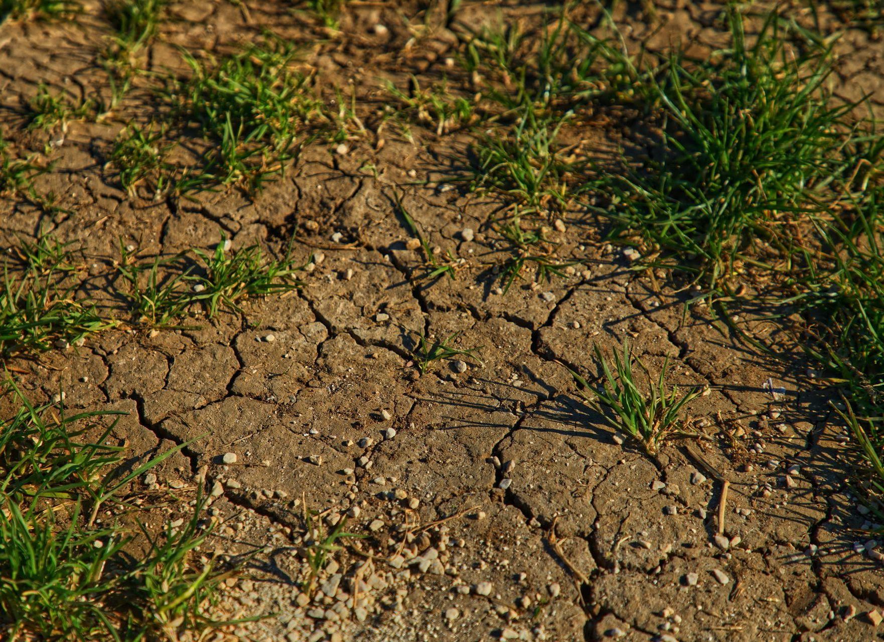 soil erosion