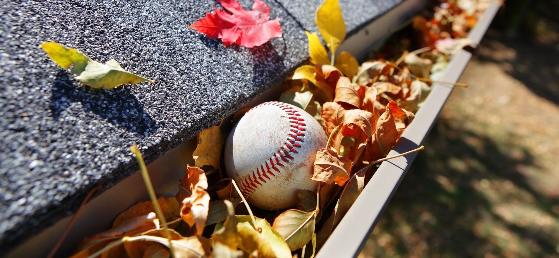 baseball and leaves in a gutter