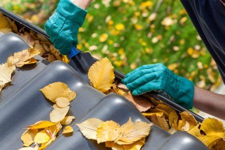 gutter cleaning