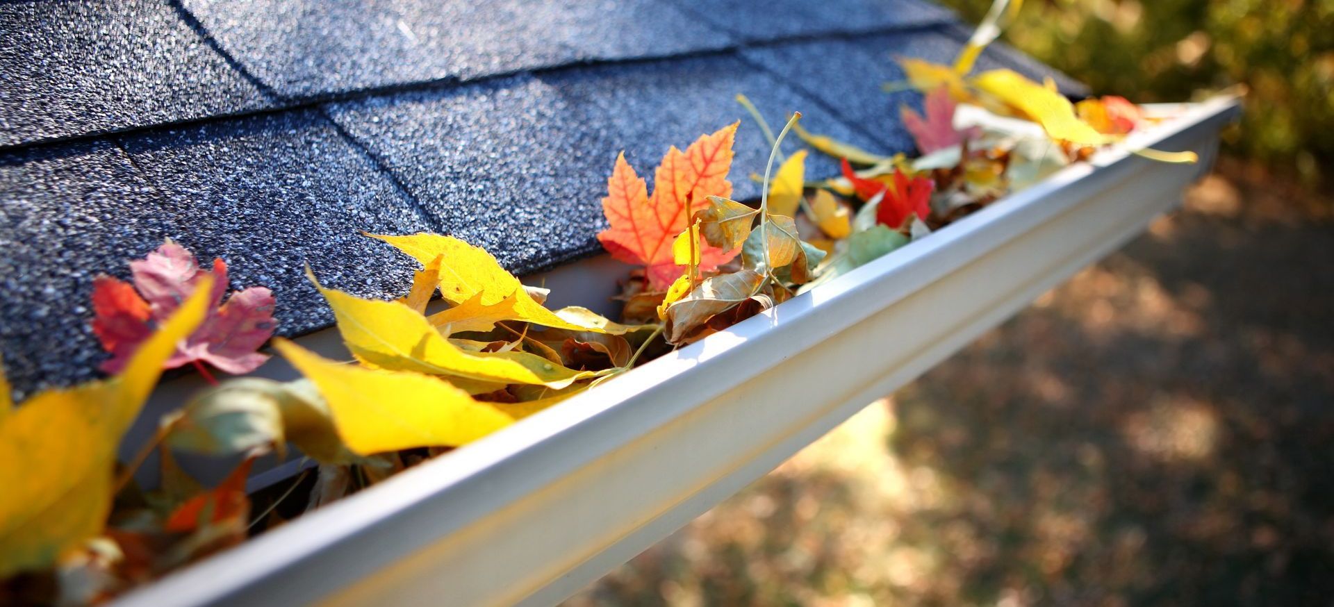 gutter with leaves