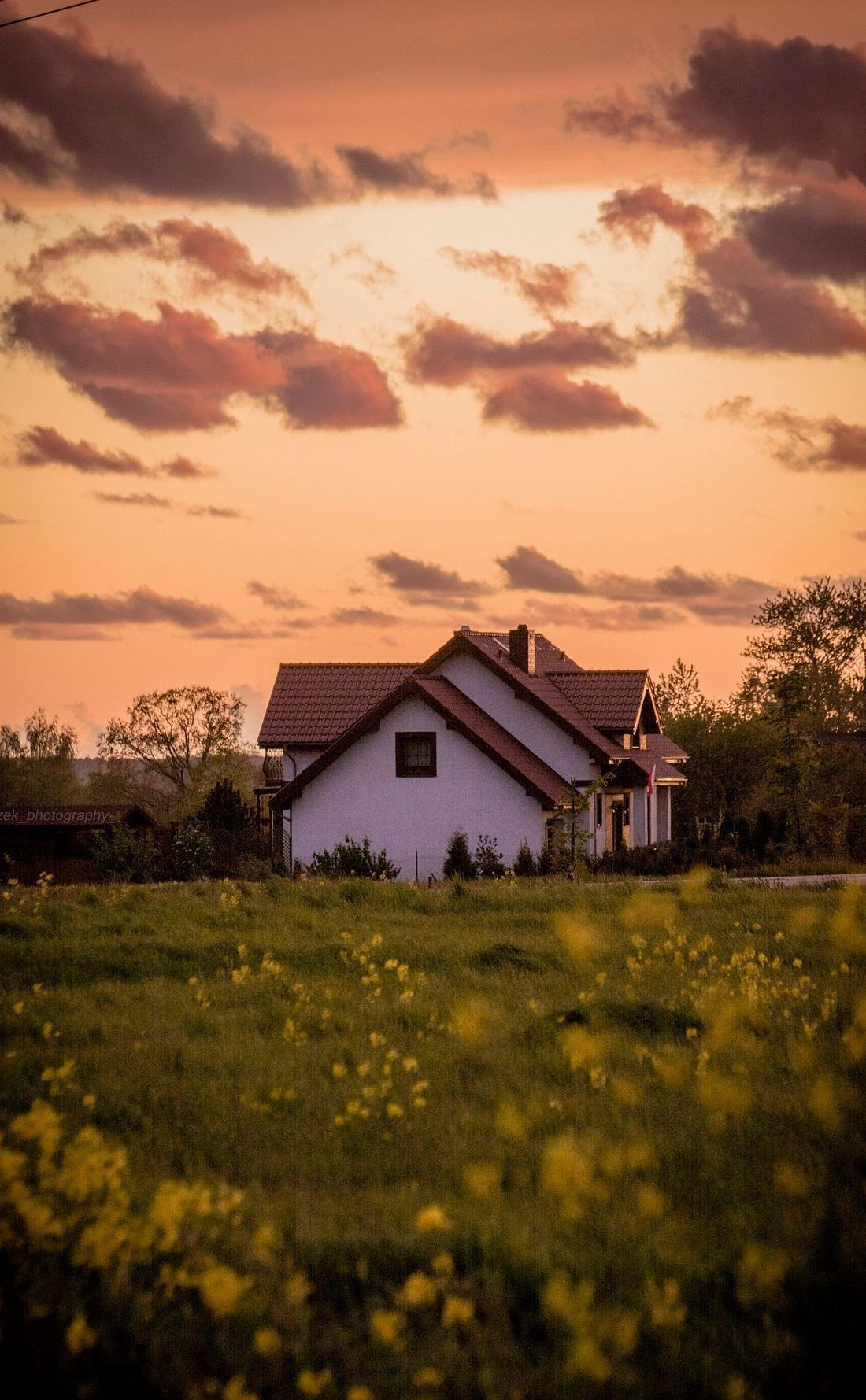 house in a meadow