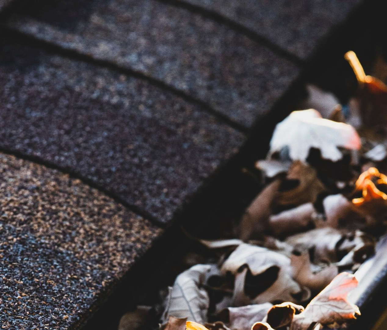 clogged gutter