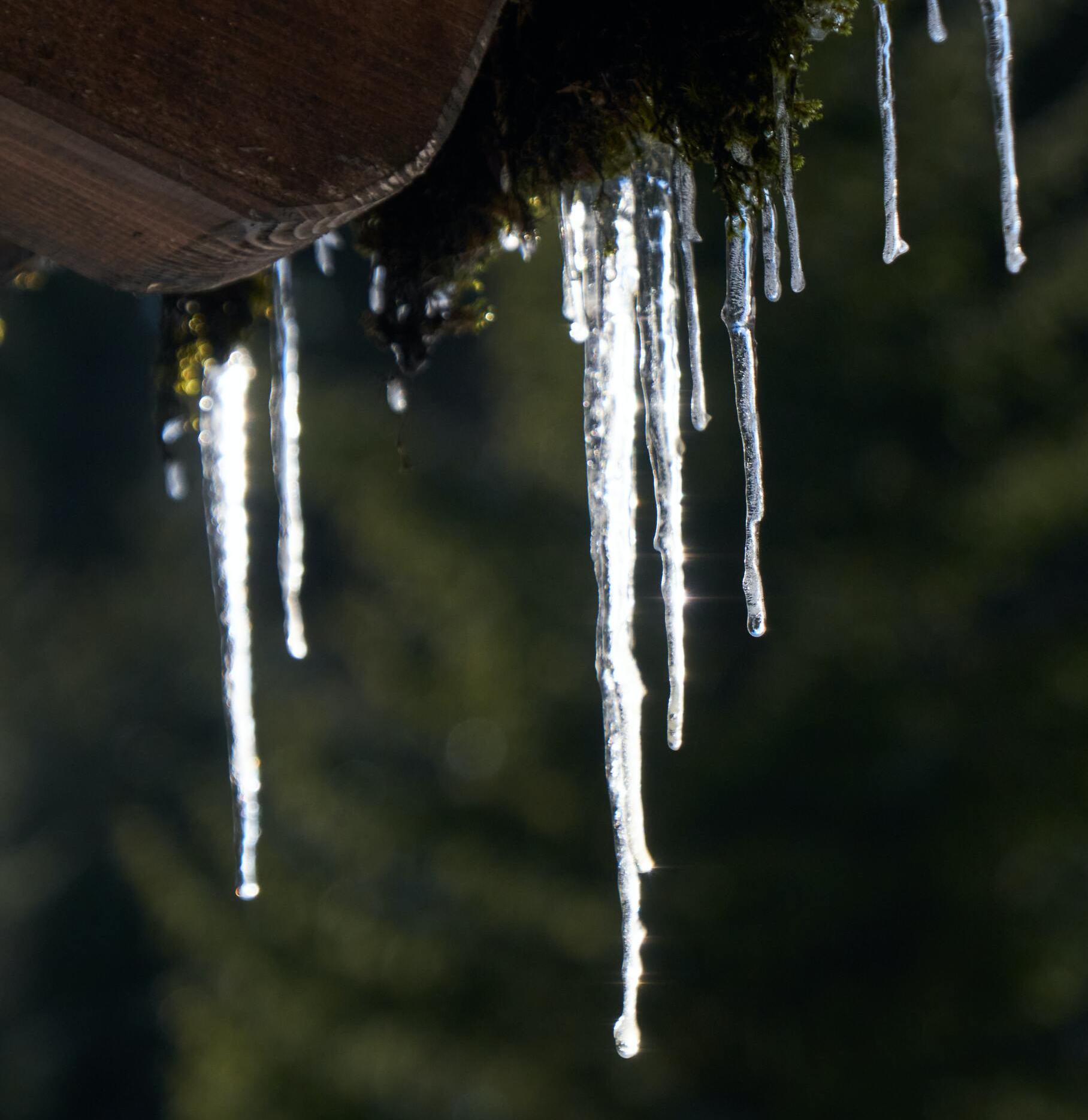 icicles on a roof