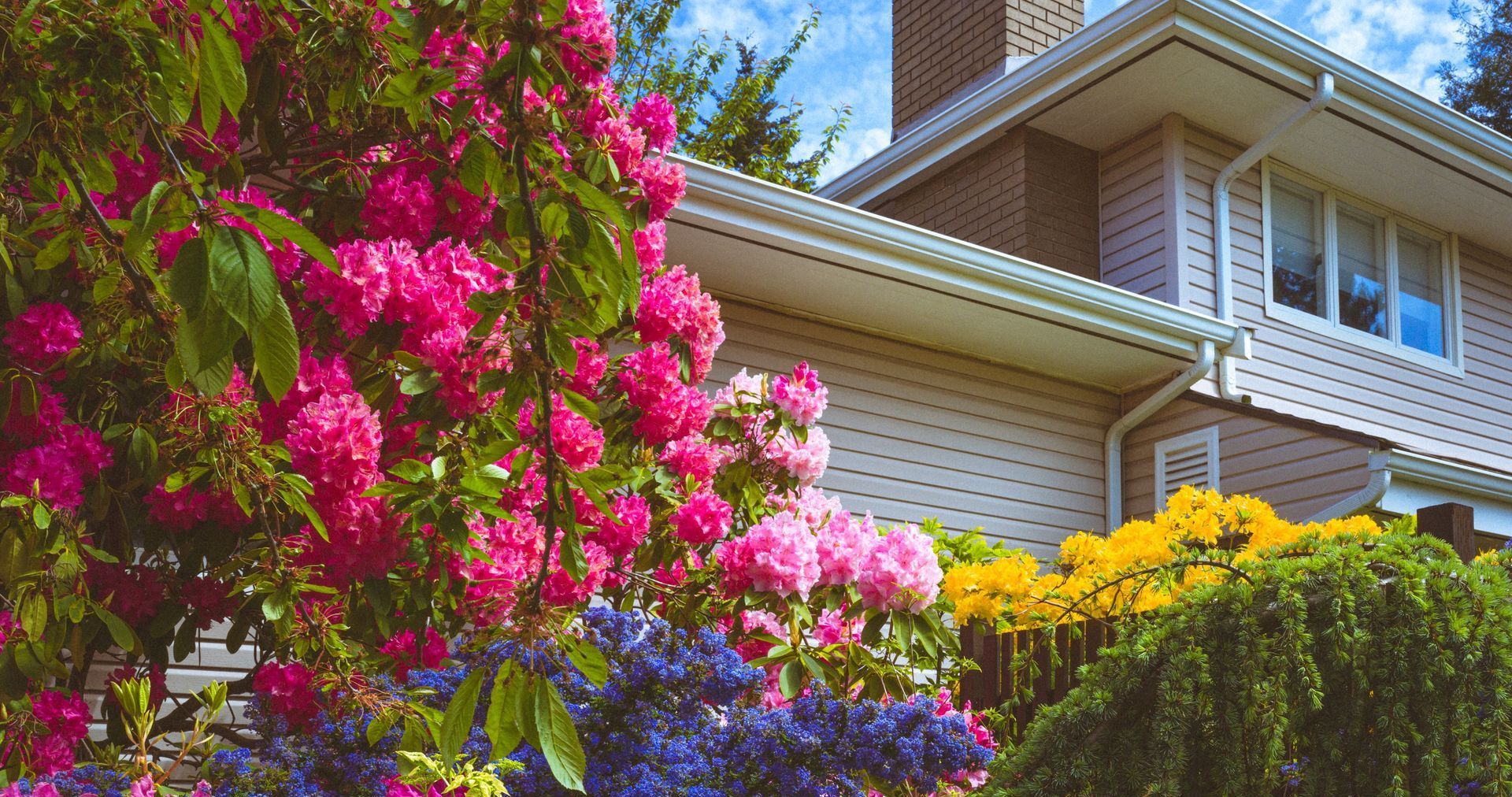 house with flowers