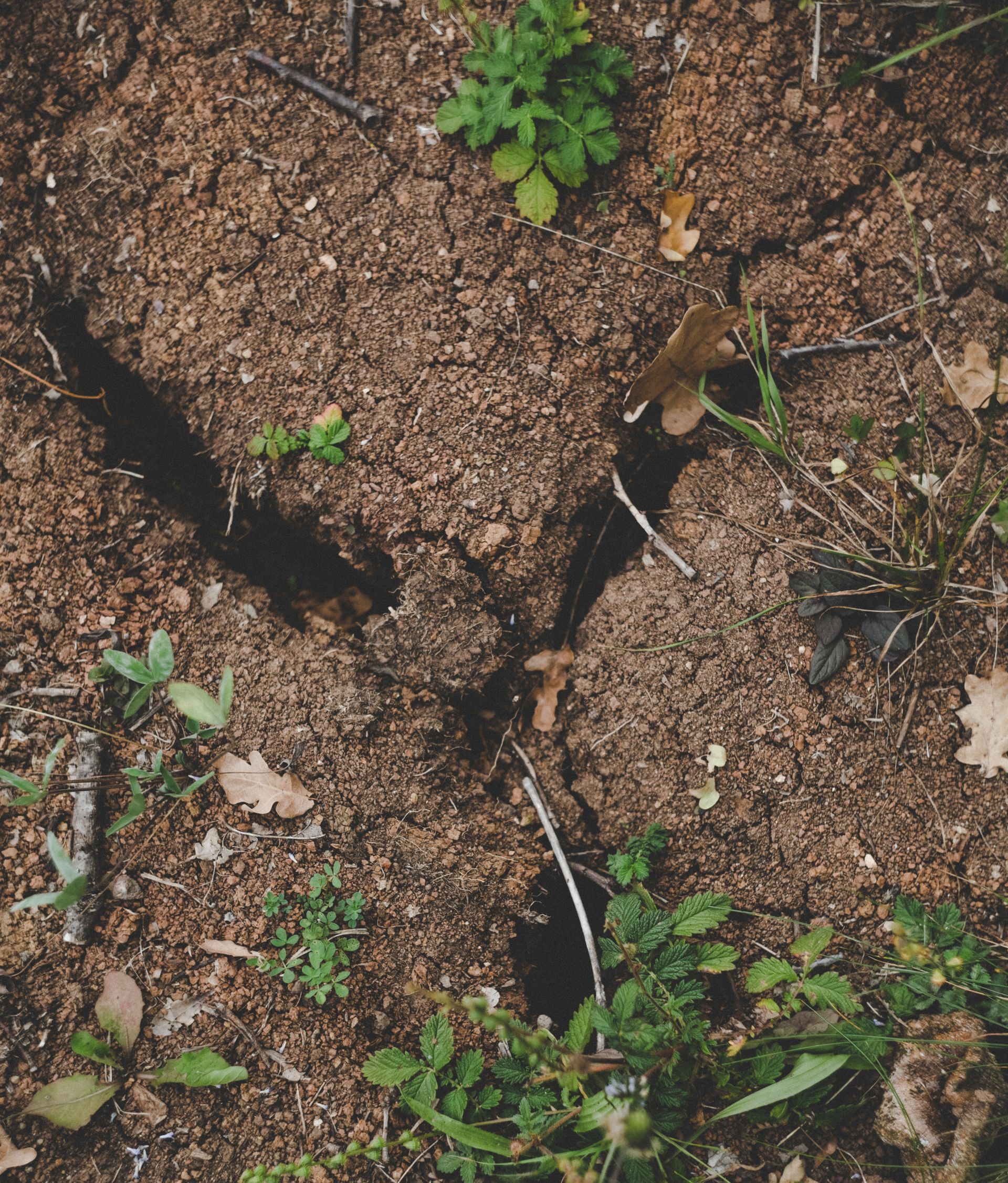 soil erosion