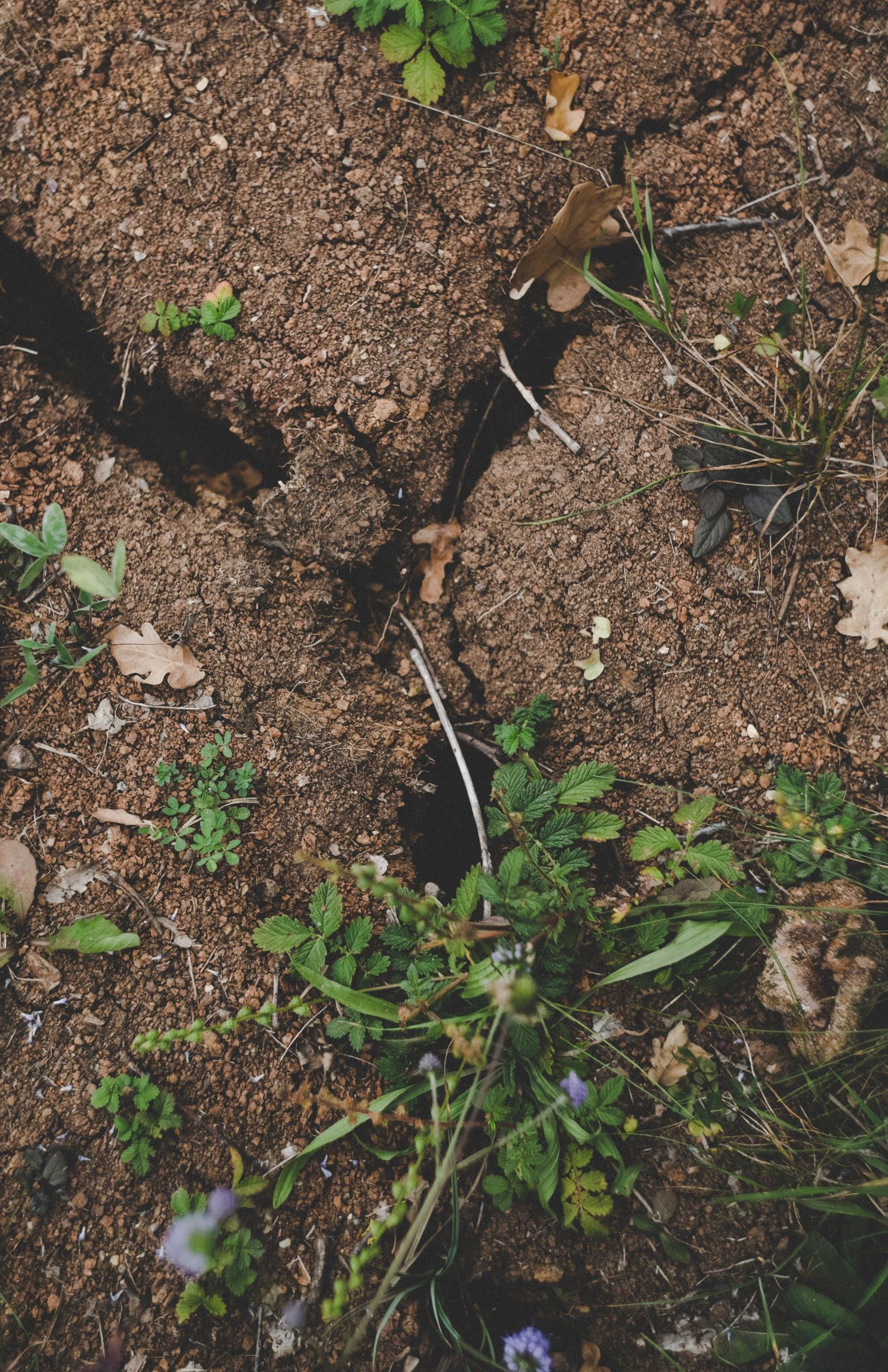 soil erosion