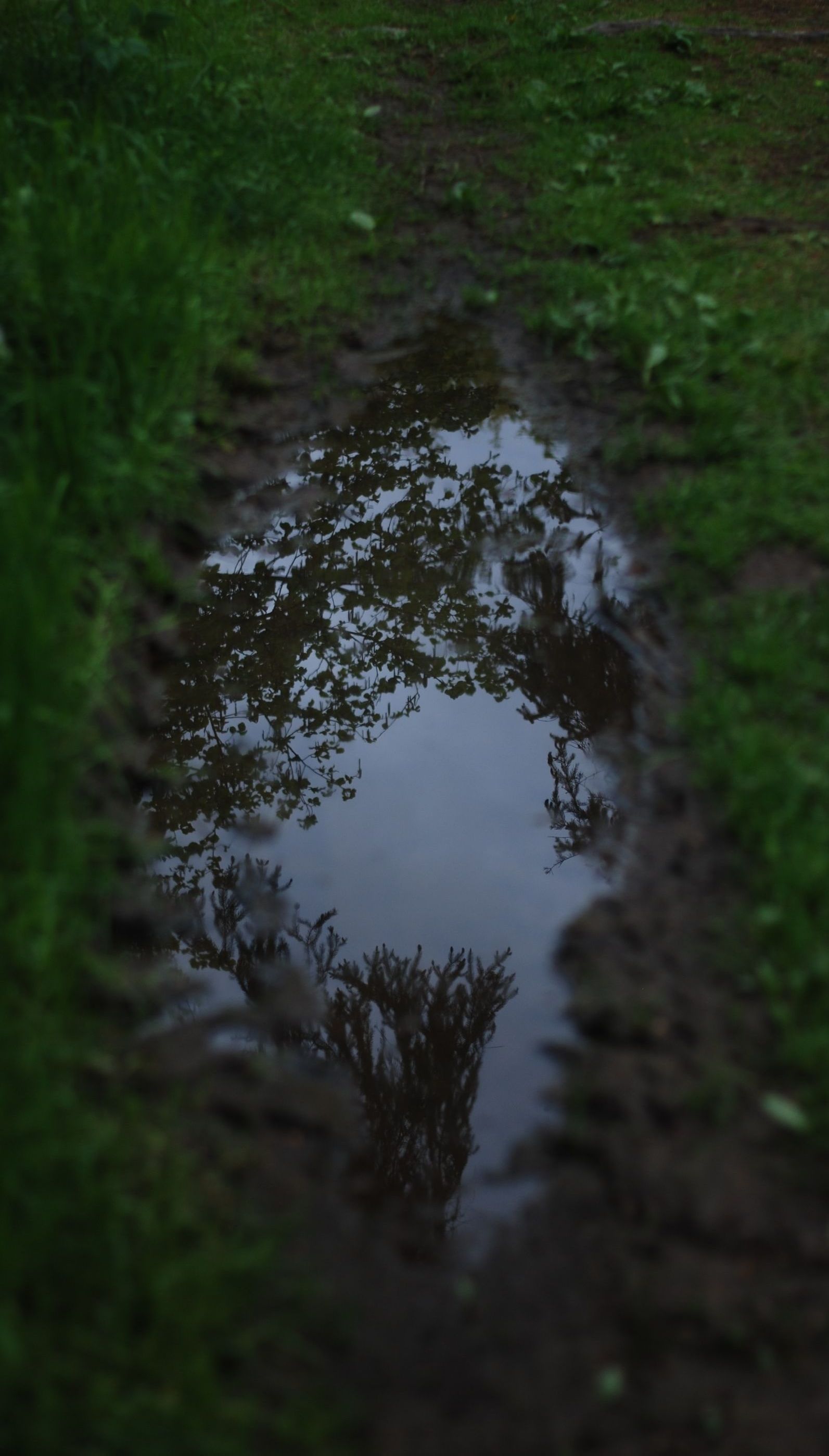 puddle