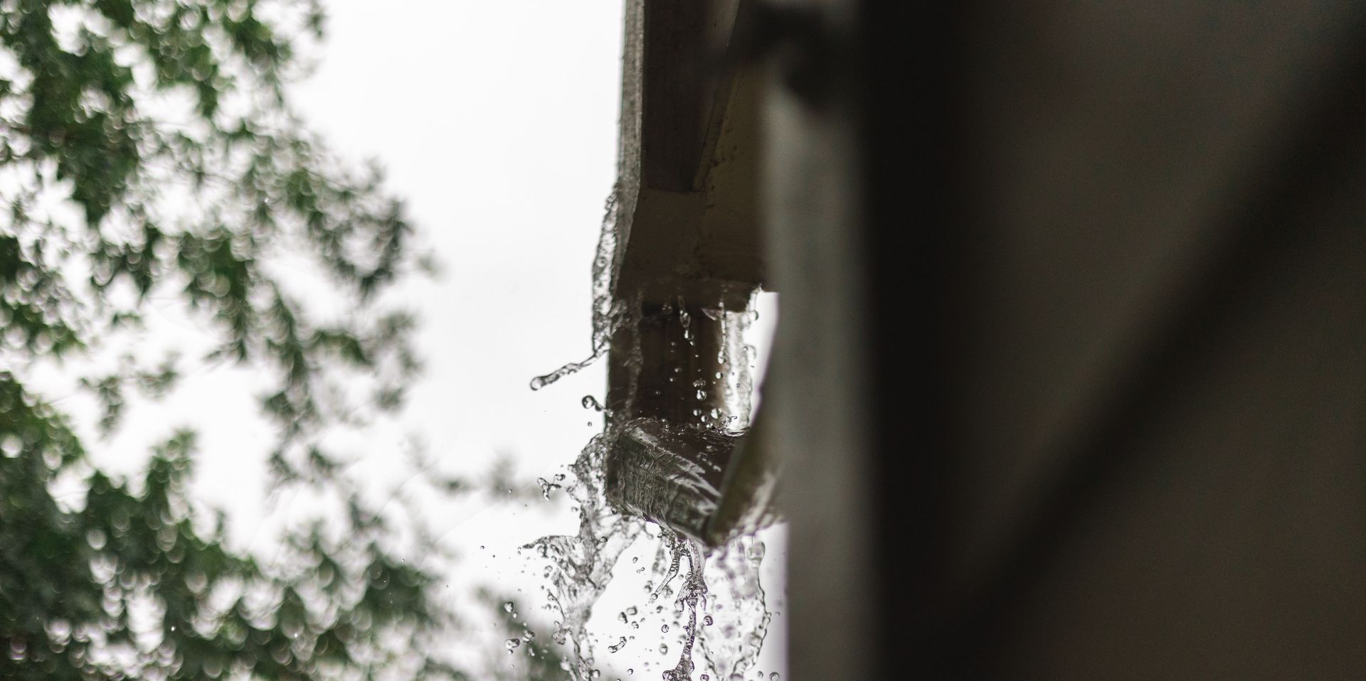 downspout on a gutter