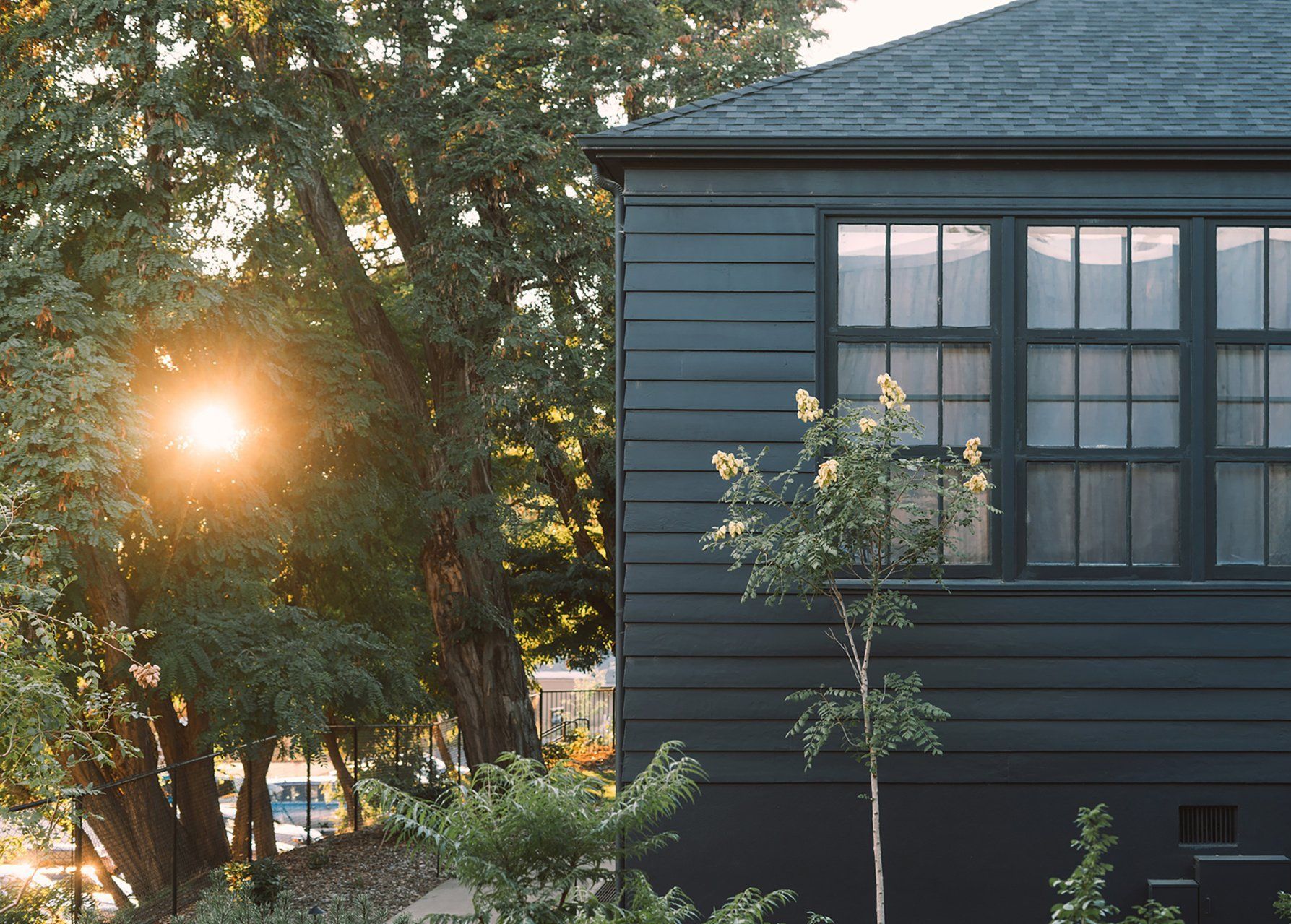 house and trees