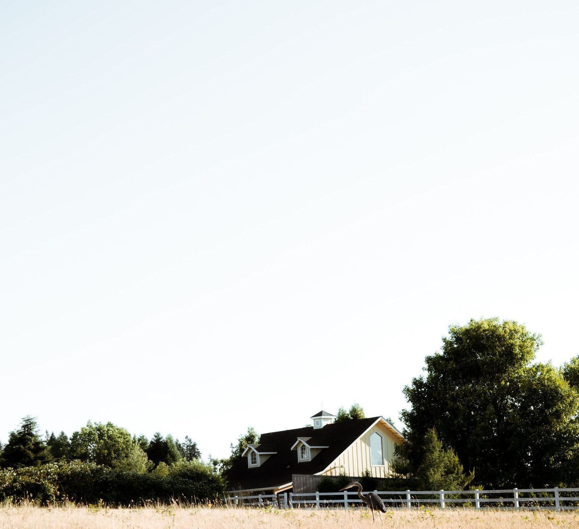 house with trees