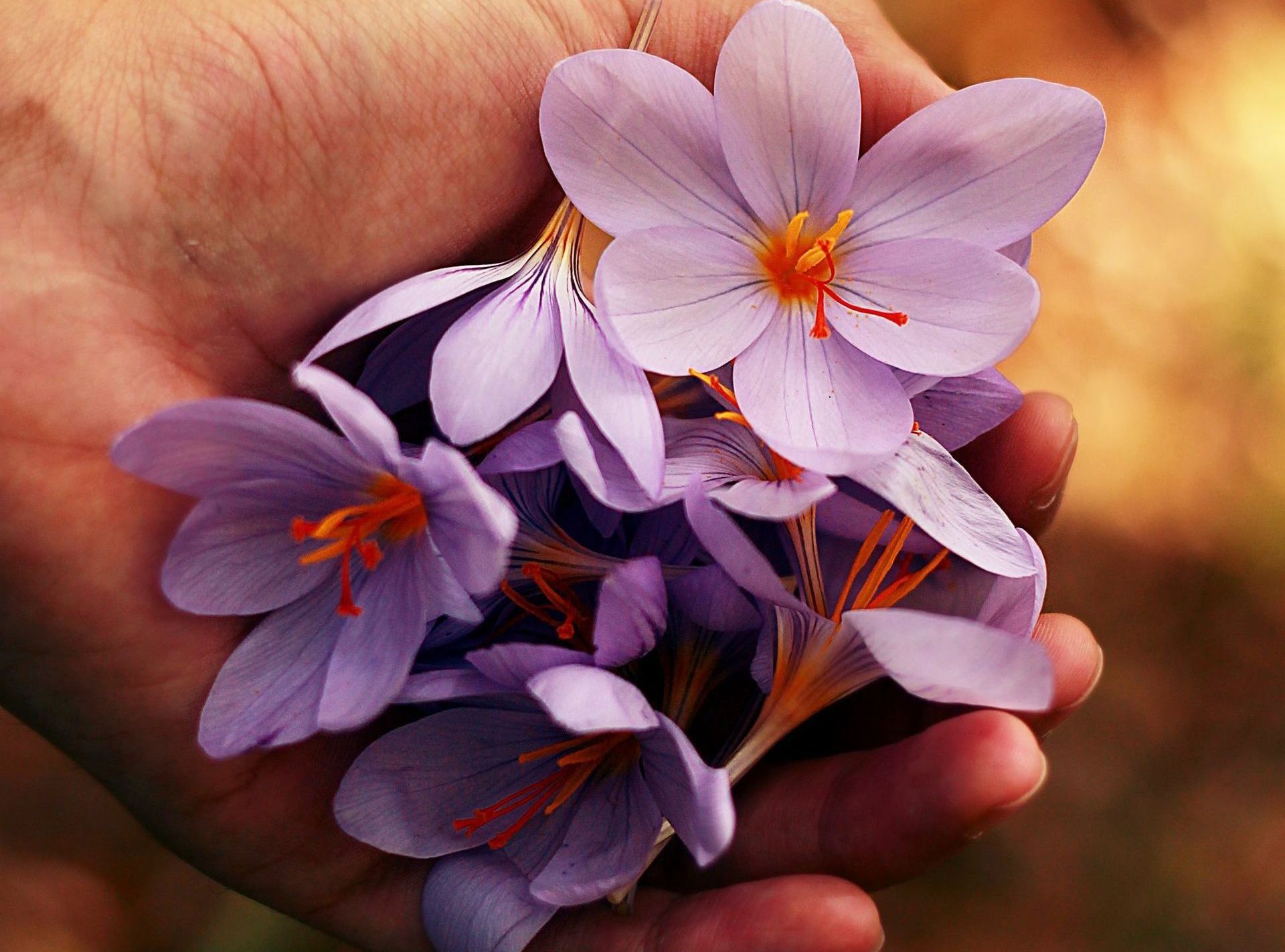 handful of petals