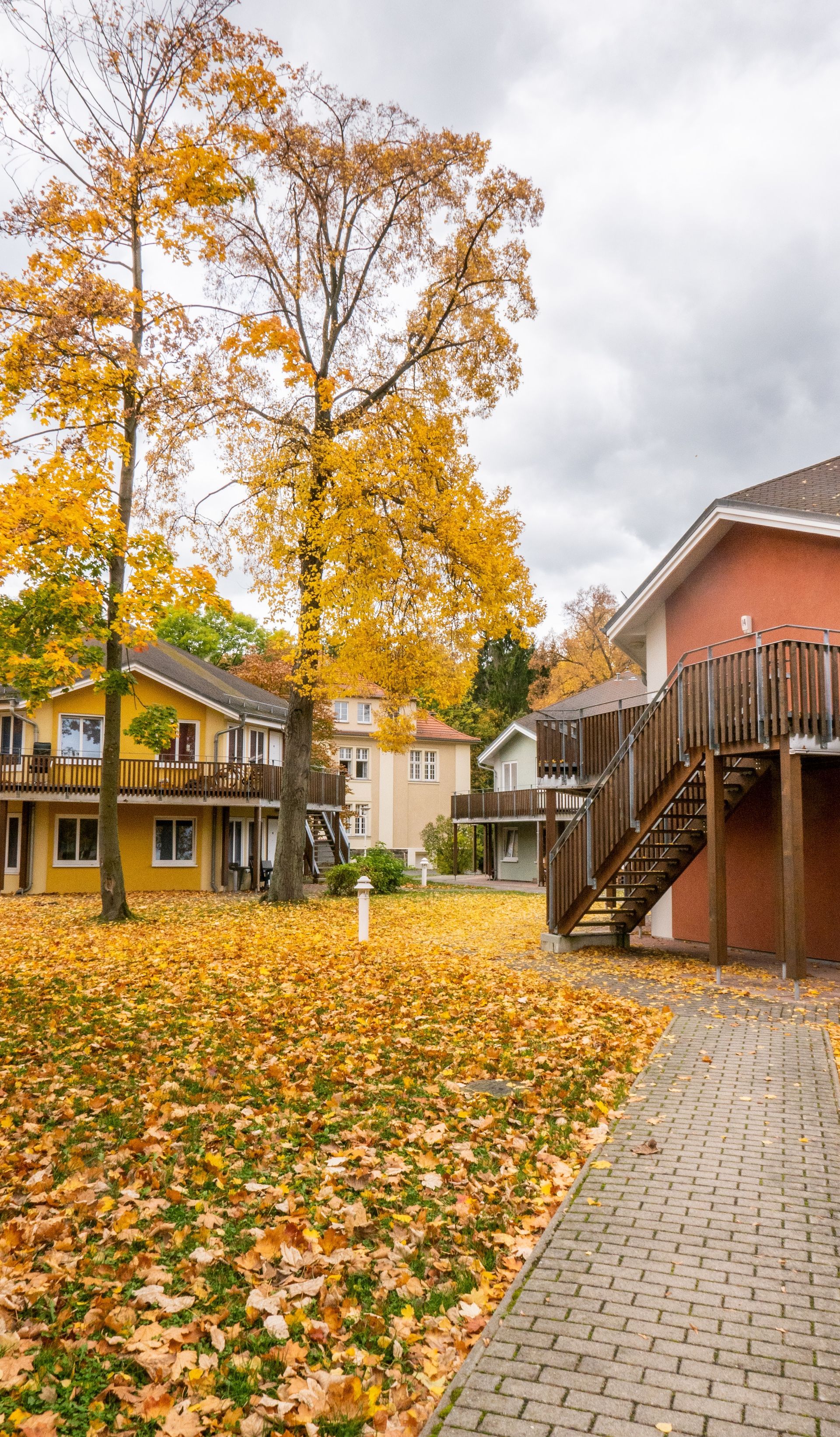 houses in the fall