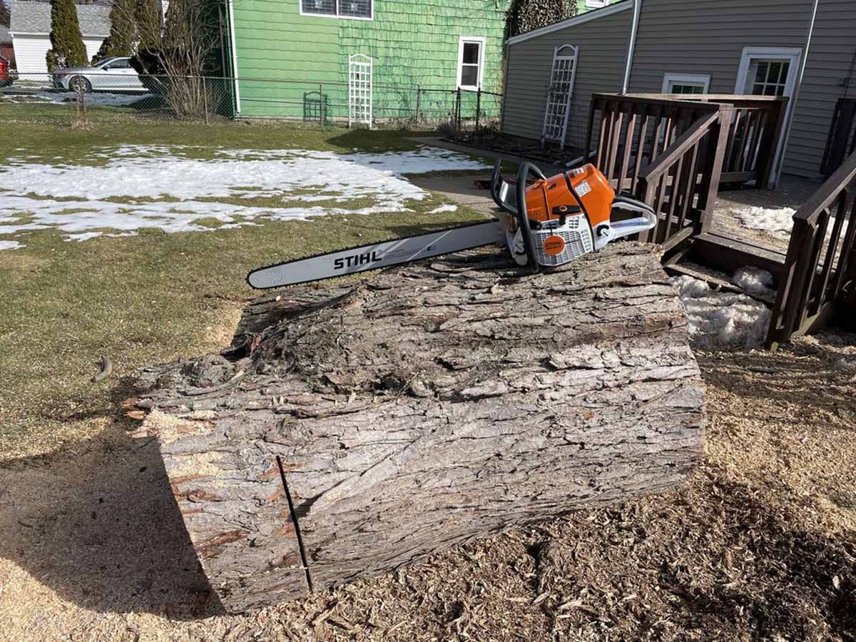 A chainsaw is sitting on top of a tree stump in a yard.