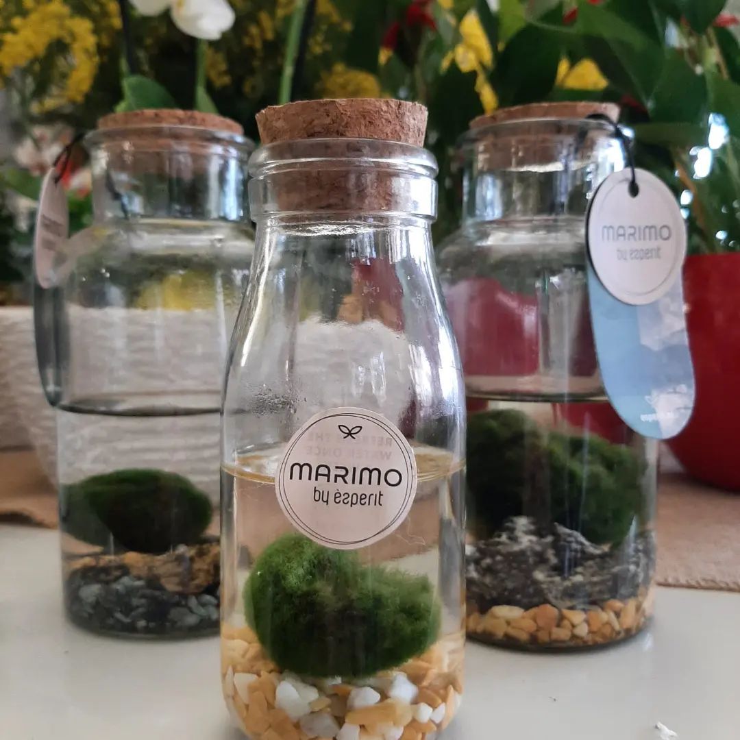 composizione floreale 12