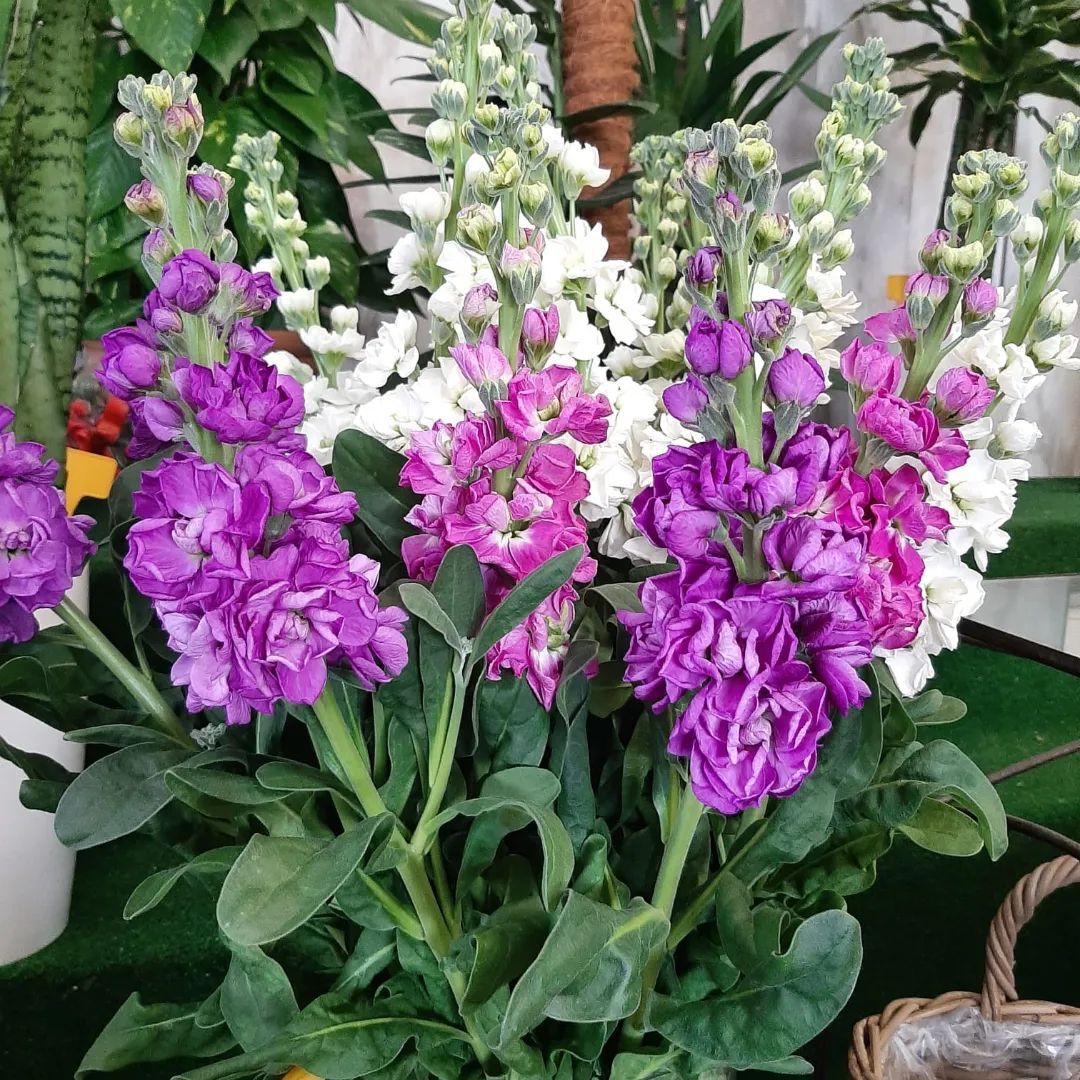 composizione floreale 9