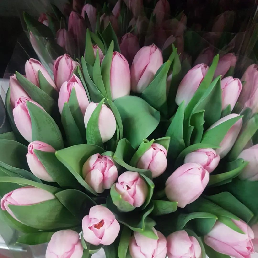 composizione floreale 10