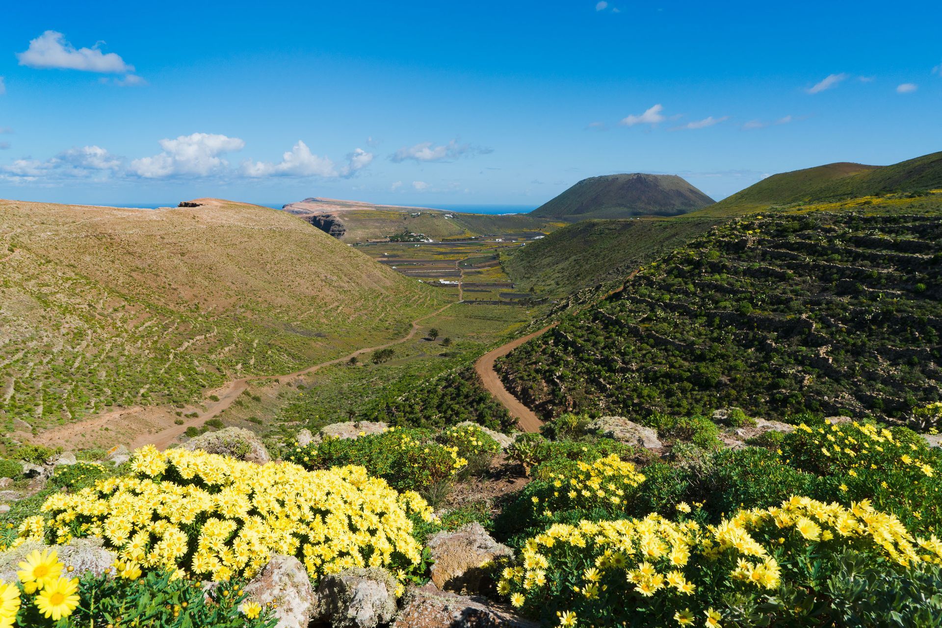 self-catering apartment in Lanzarote